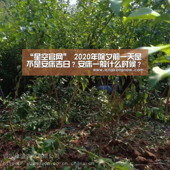 “星空官网”
2020年除夕前一天是不是安床吉日?安床一般什么时候?(图3) 星空聚合
